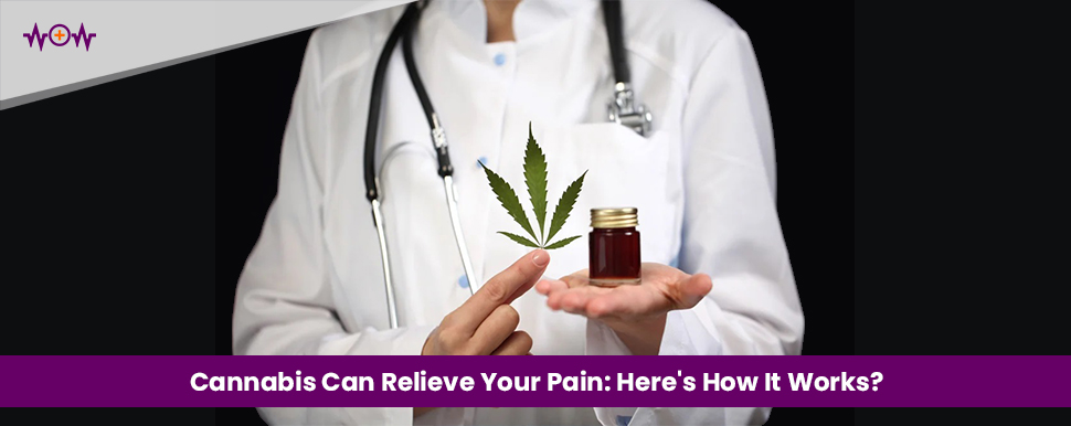 Cannabis Can Relieve Your Pain: Here’s How It Works?