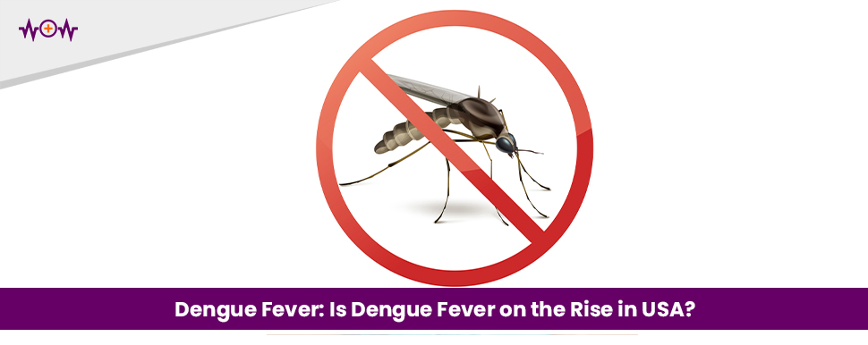 Dengue Fever: Is Dengue Fever on the Rise in USA?