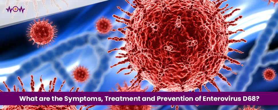 What are the Symptoms, Treatment and Prevention of Enterovirus D68?
