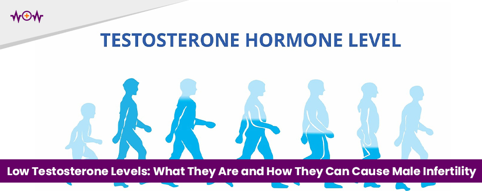 low-testosterone-levels-what-they-are-and-how-they-can-cause-male-infertility