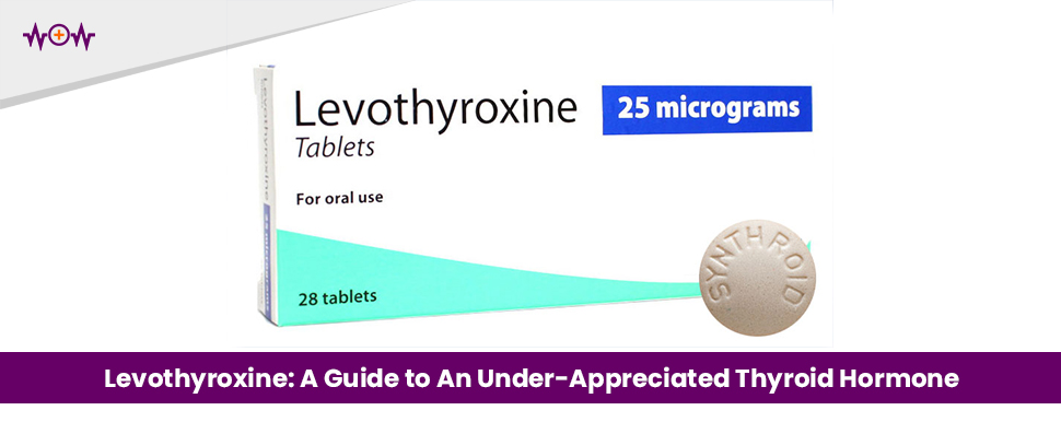 Levothyroxine: A Guide to An Under-Appreciated Thyroid Hormone