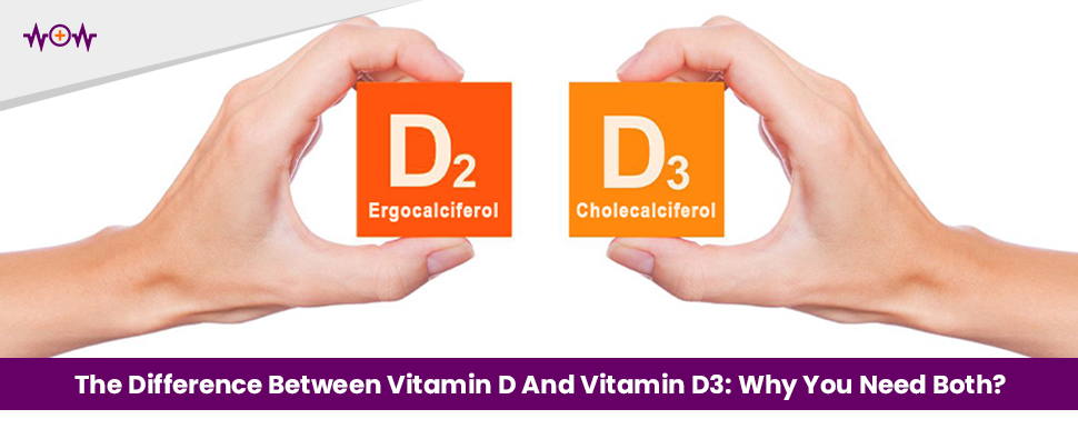 The Difference Between Vitamin D And Vitamin D3: Why You Need Both?