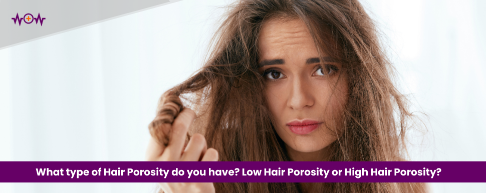 What type of Hair Porosity do you have? Low Hair Porosity or High Hair Porosity?