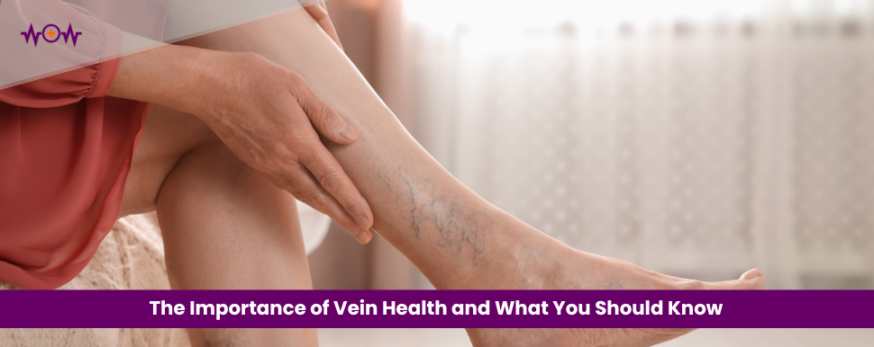 The Importance of Vein Health and What You Should Know