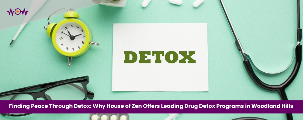 Finding Peace Through Detox: Why House of Zen Offers Leading Drug Detox Programs in Woodland Hills