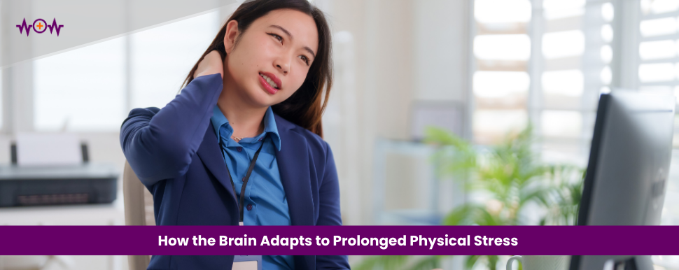 How the Brain Adapts to Prolonged Physical Stress 